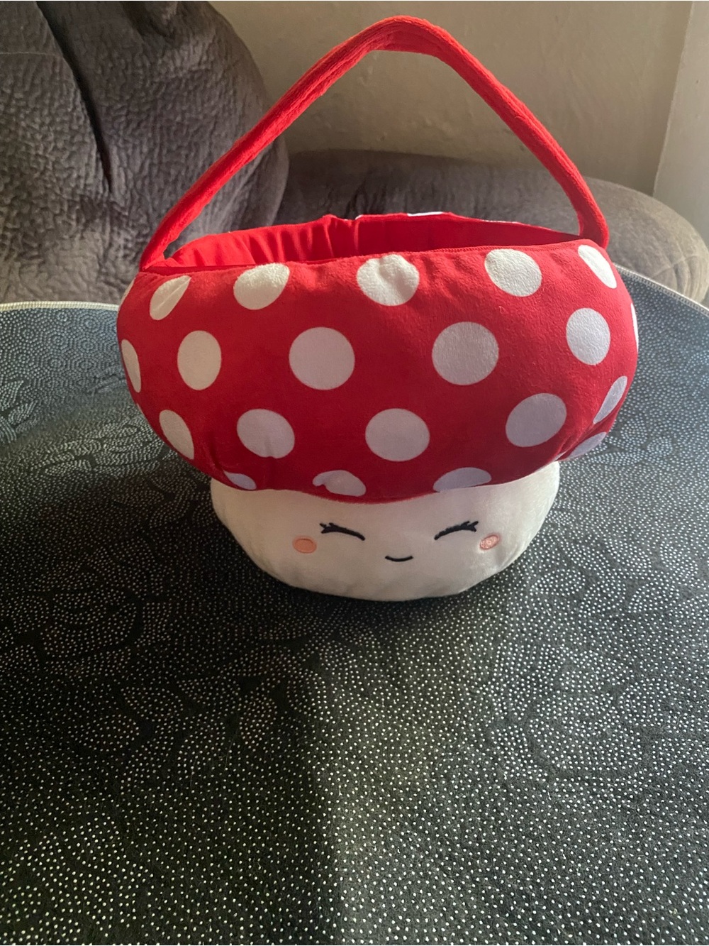 Mushroom Bag